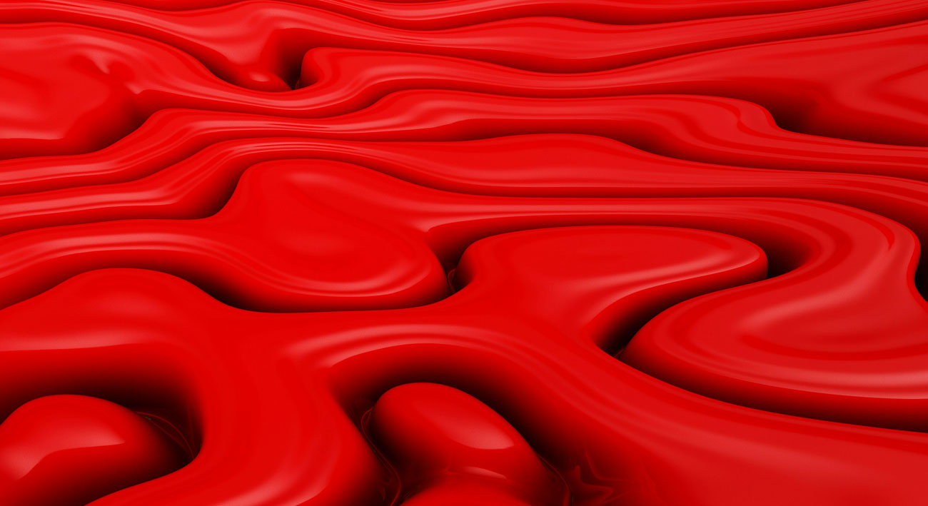 Web Design in Charleston, SC and Westchester, NY