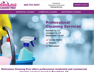 Meticulous Cleaning Services