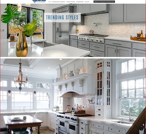 Web Design in Charleston, SC and Westchester, NY