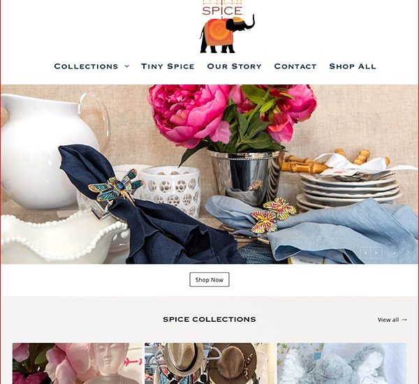 e-commerce web design