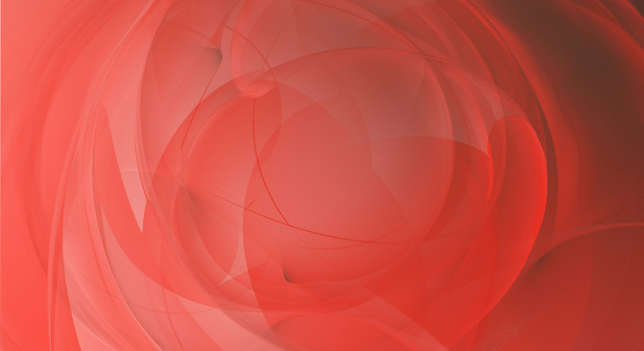 Web Design in Charleston, SC and Westchester, NY