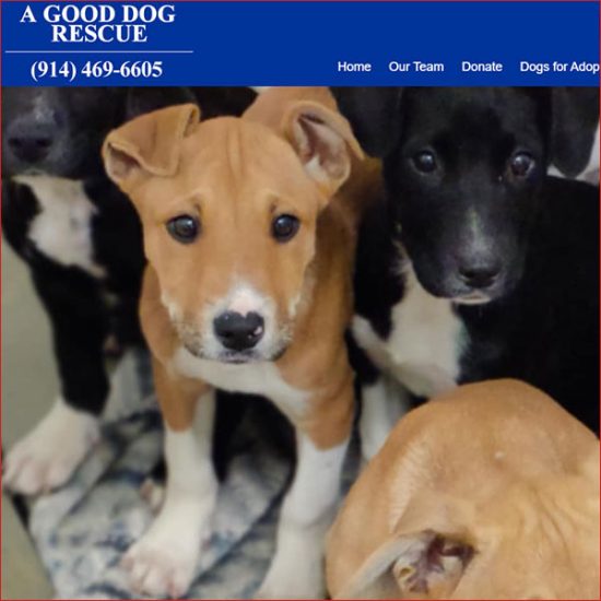 Web Design in Charleston, SC and Westchester, NY