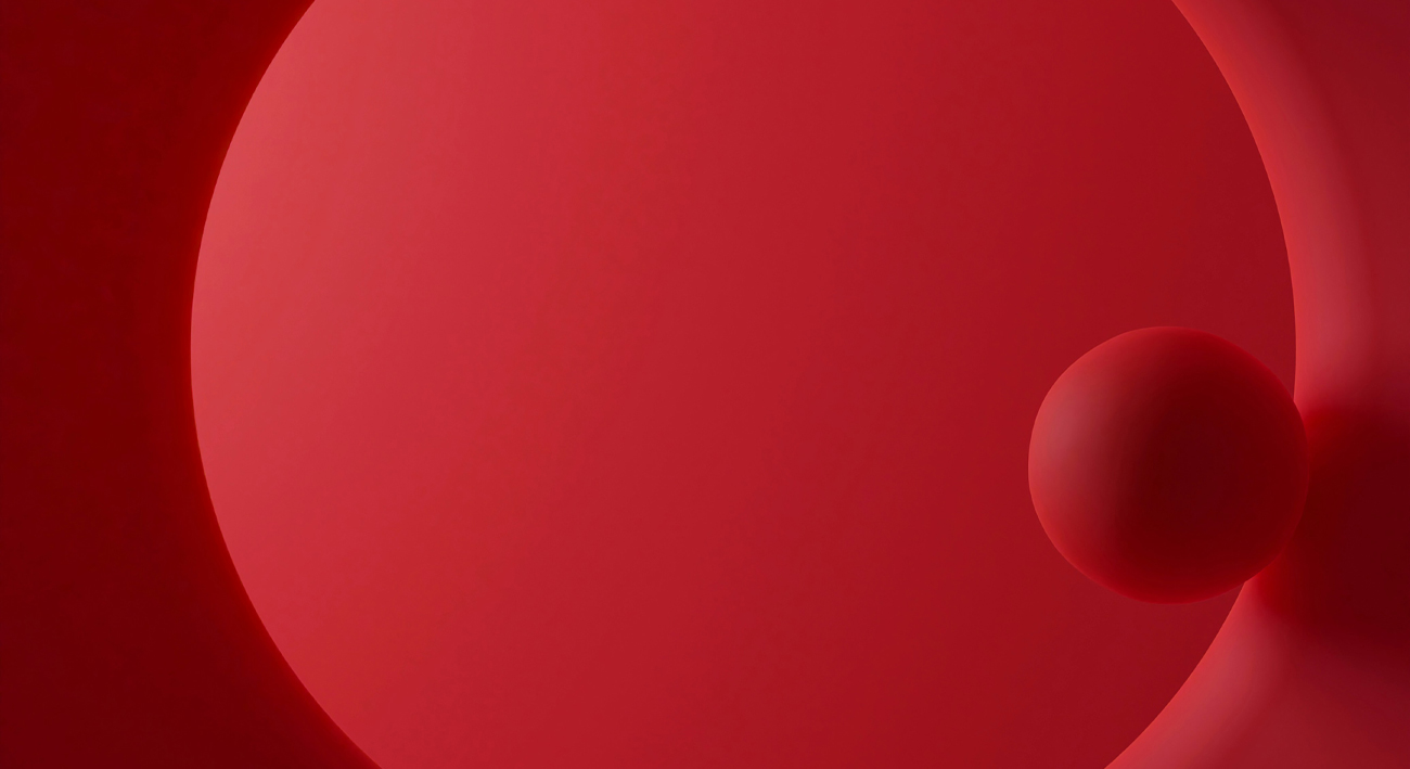 Web Design in Charleston, SC and Westchester, NY