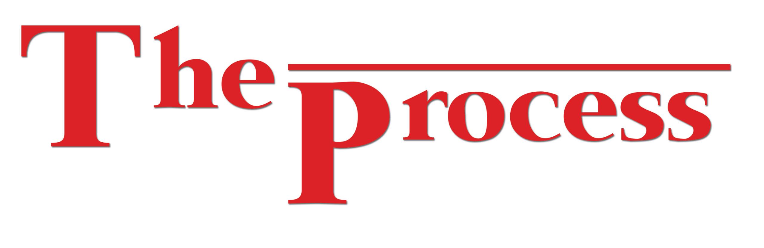 Words "The Process" in the style of the logo for Wagner Web Designs, a modern web design company for small businesses in Charleston, SC, Westchester, NY, Delray Beach, FL, and more.