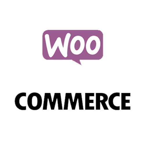 Charleston web design services from Wagner Web Designs create professional, SEO-optimized websites that help businesses attract customers and grow online.